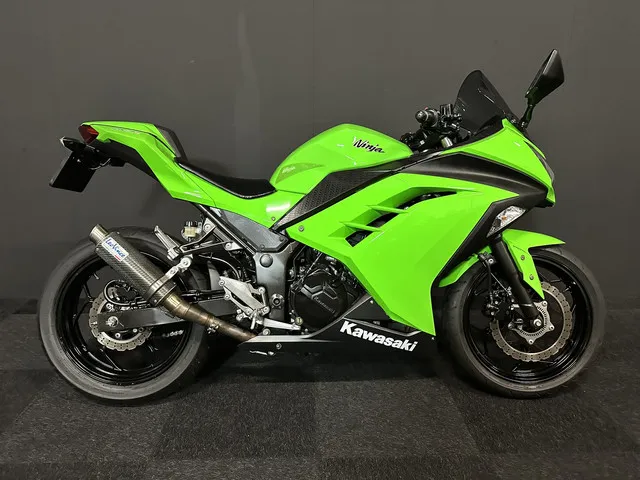 kawasaki-ninja-300-8312-1